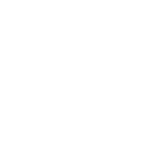 U de chile